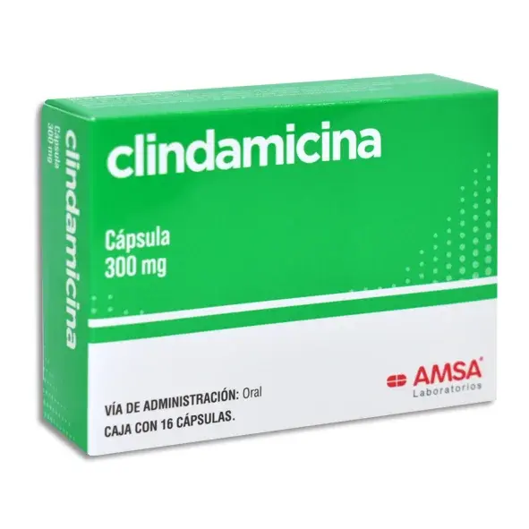CLINDAMICINA 300MG