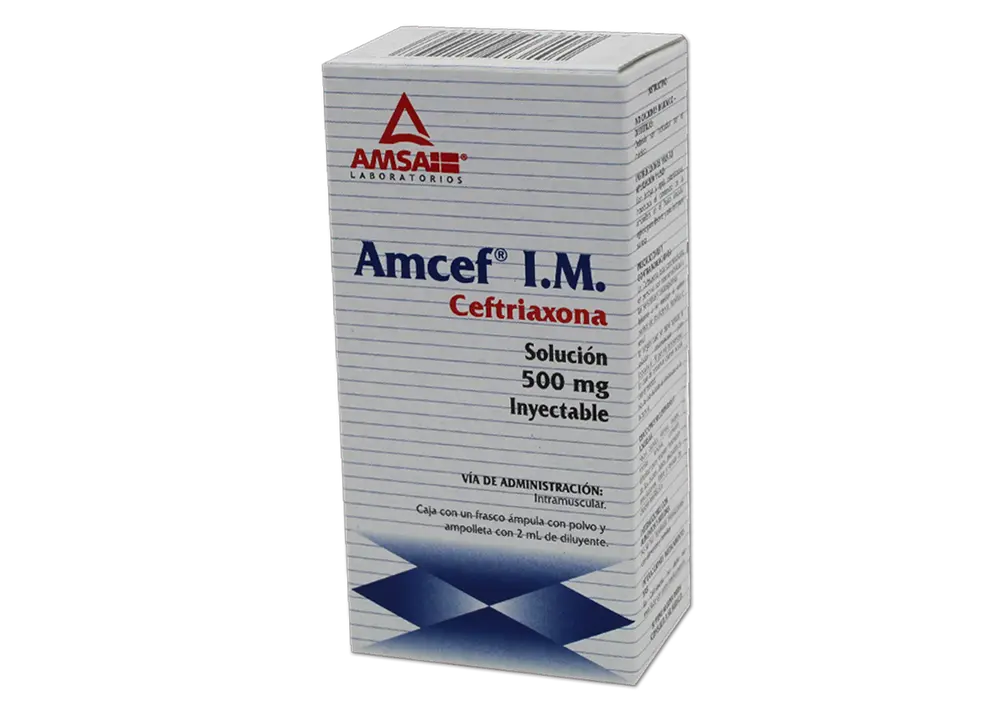 AMCEF 500 MG IM