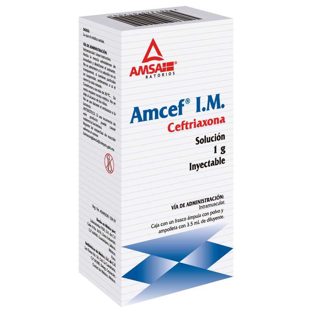 AMCEF 1 GR IM