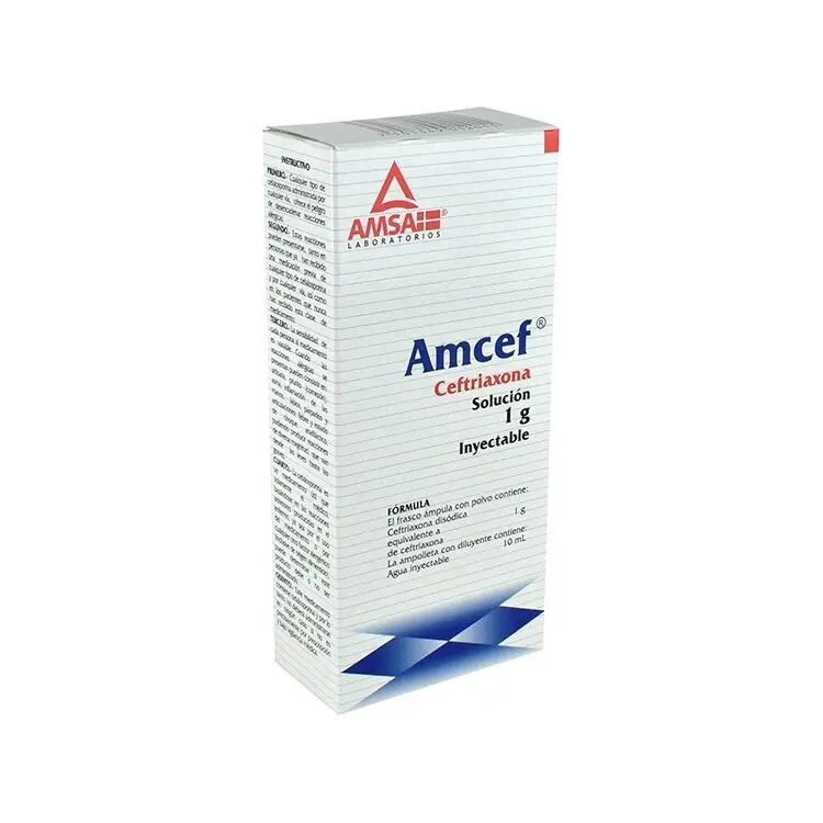 AMCEF 1 G IV