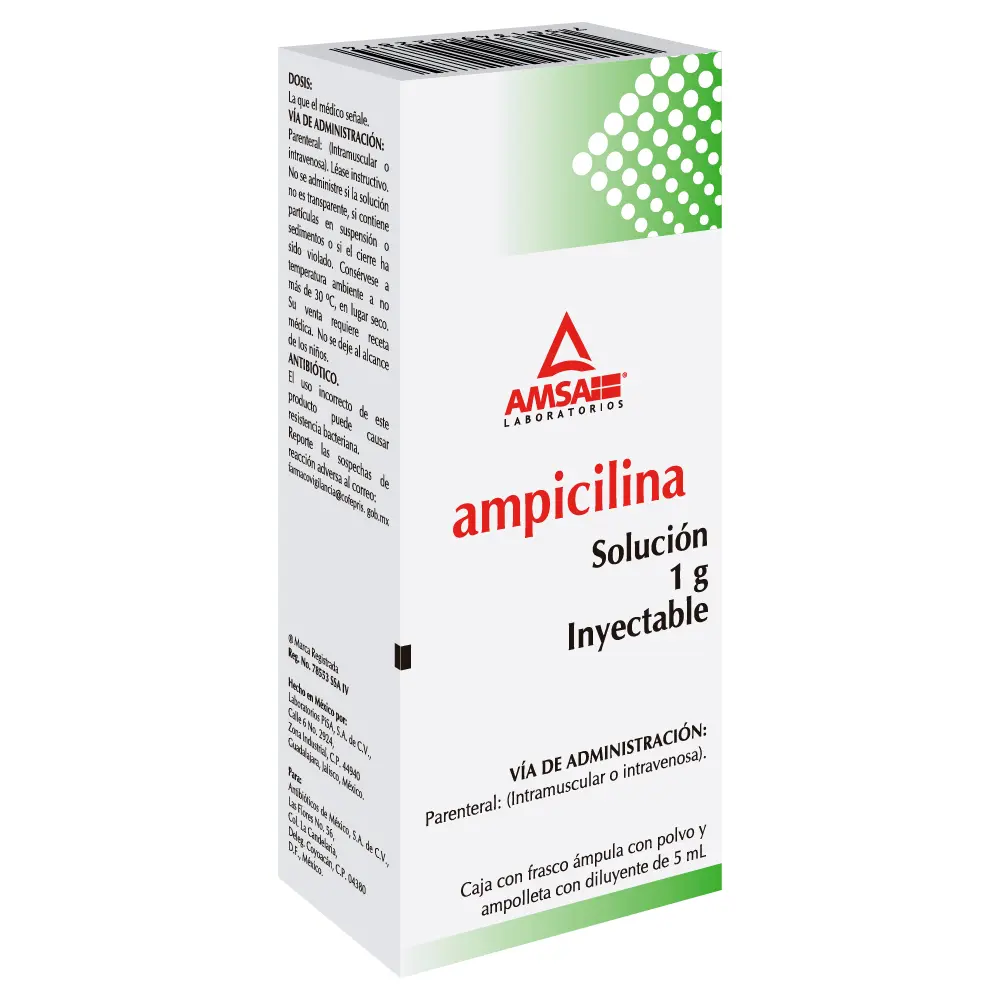 AMPICILINA 1 GR INY