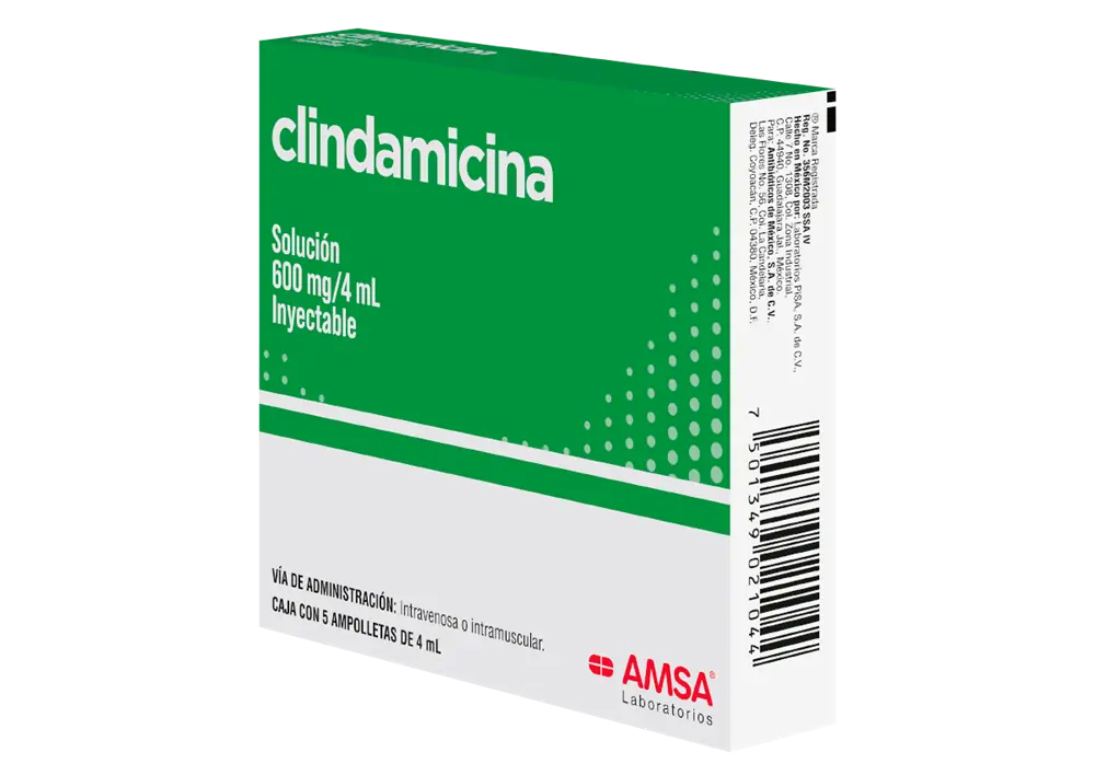 CLINDAMICINA C/5