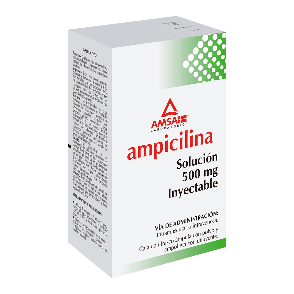 AMPICILINA 500 MG Y 2 ML DIL